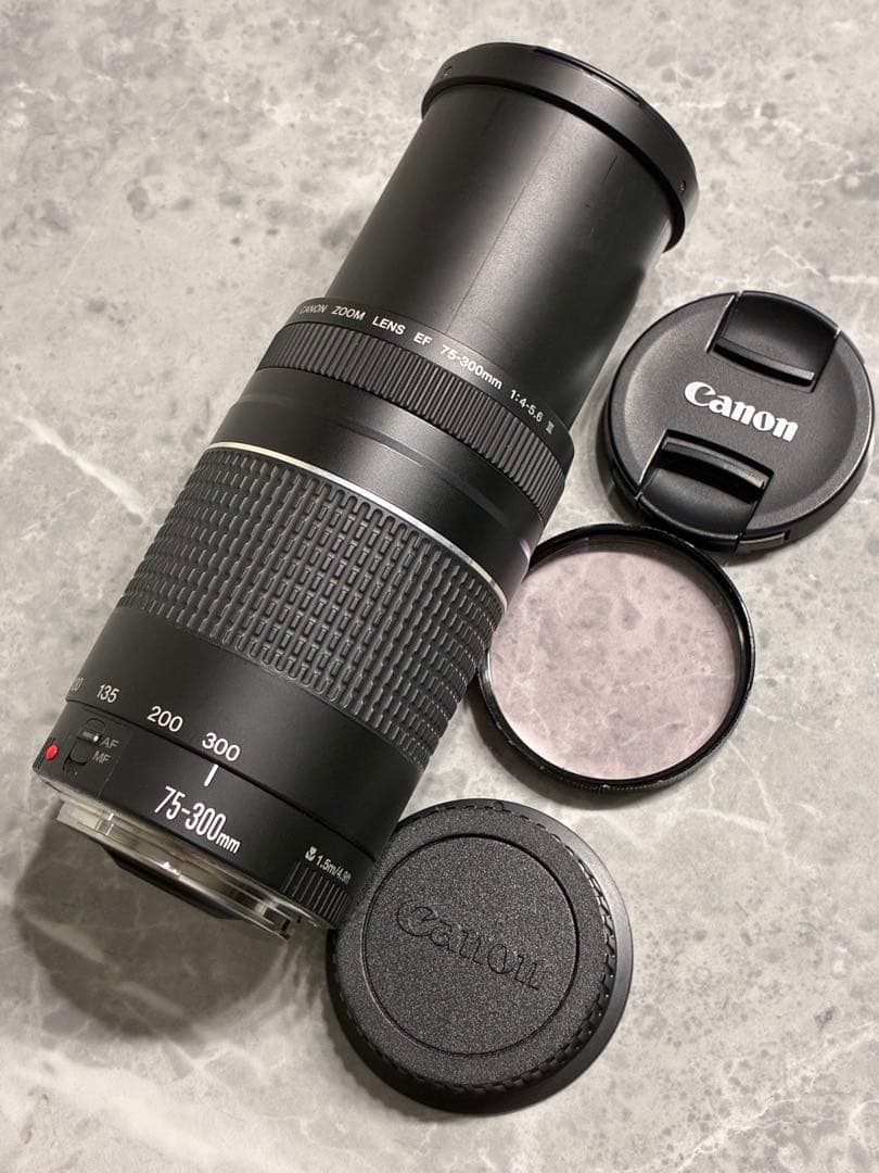 ⭐️美品⭐️Canon EF 75-300mm F/4-5.6 III