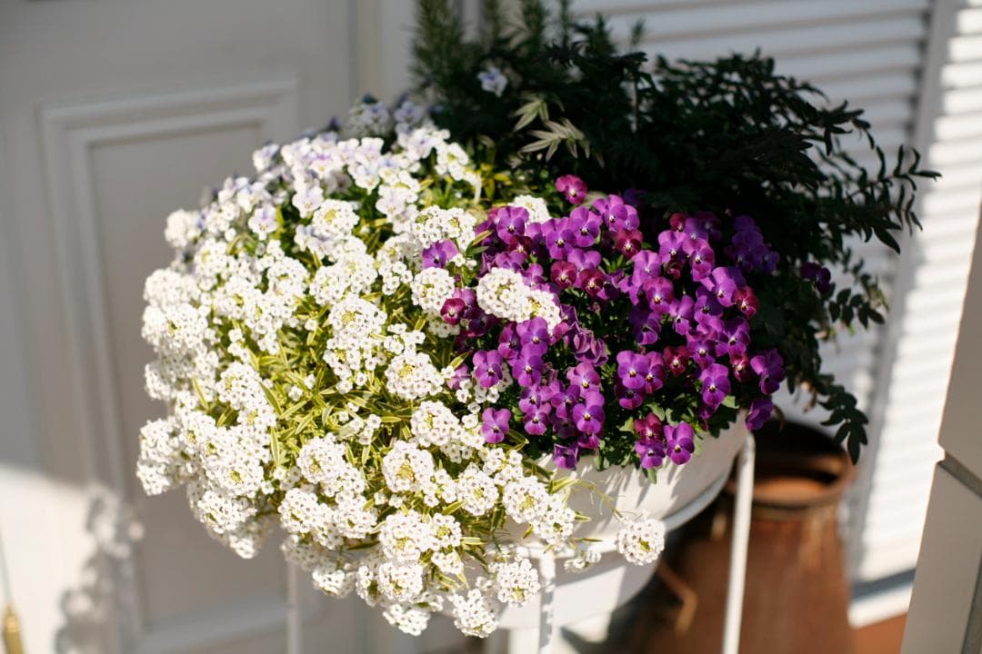 フィルムカメラ PENTAX SMC TAKUMAR f1.4 50mm M42 L74