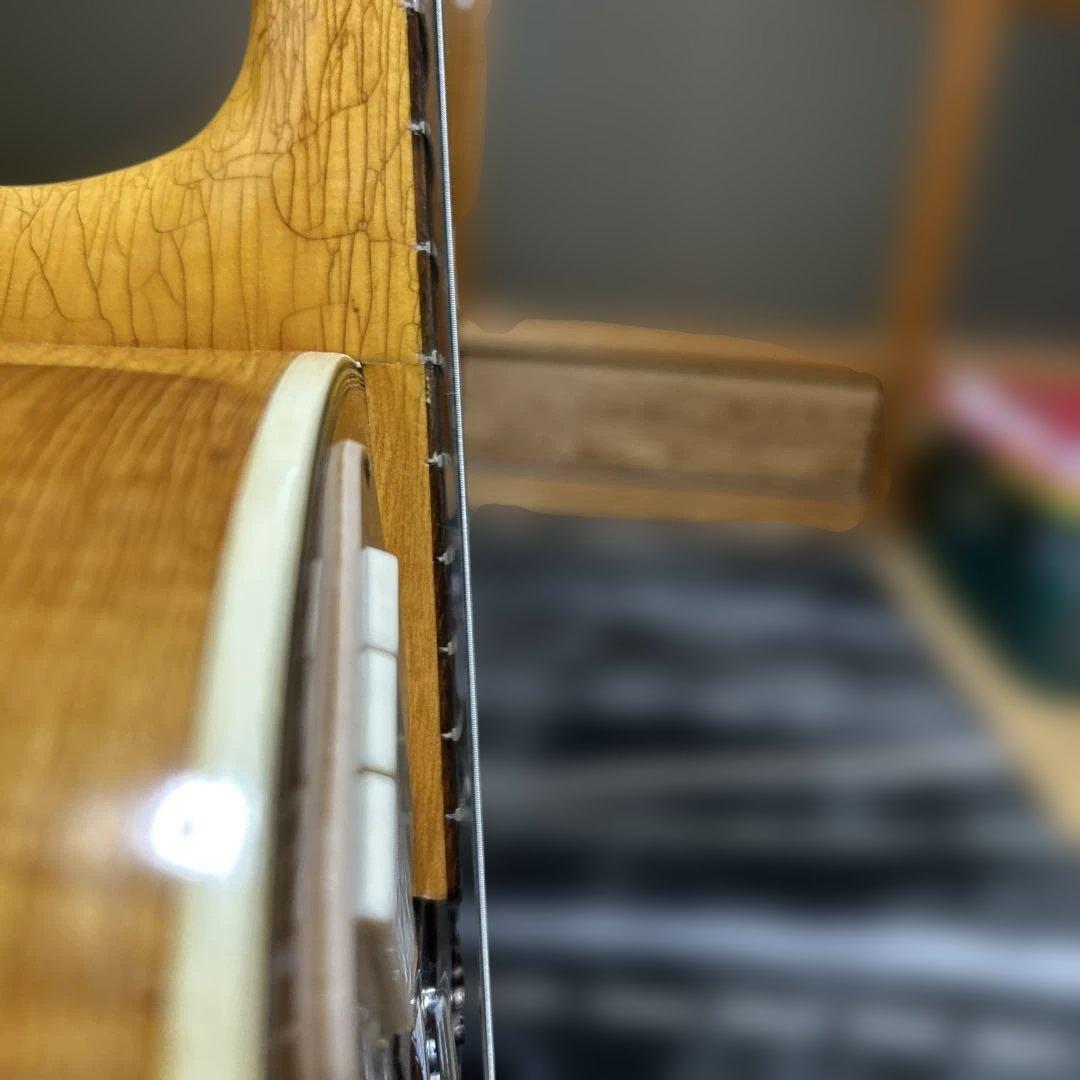 a*i様 TEISCOセミホロウボディ 3ピックアップフルアコギター