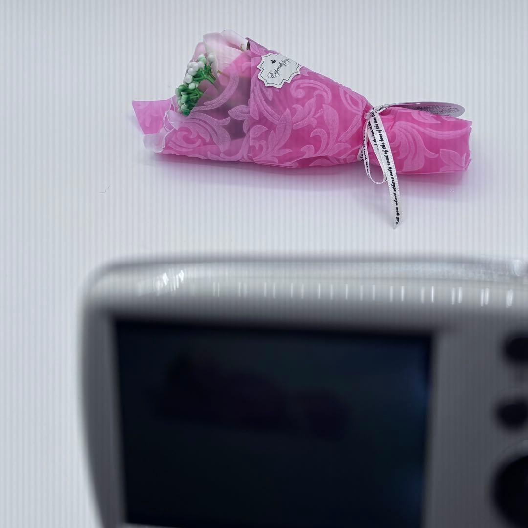 付属品完備 Panasonic LUMIX S1 箱付 デジカメ 美品 豆