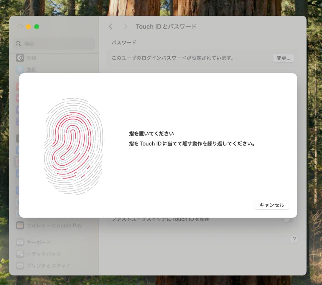 MacBook本体 Apple MacBook Pro 15 2019 i9/32GB/500GB