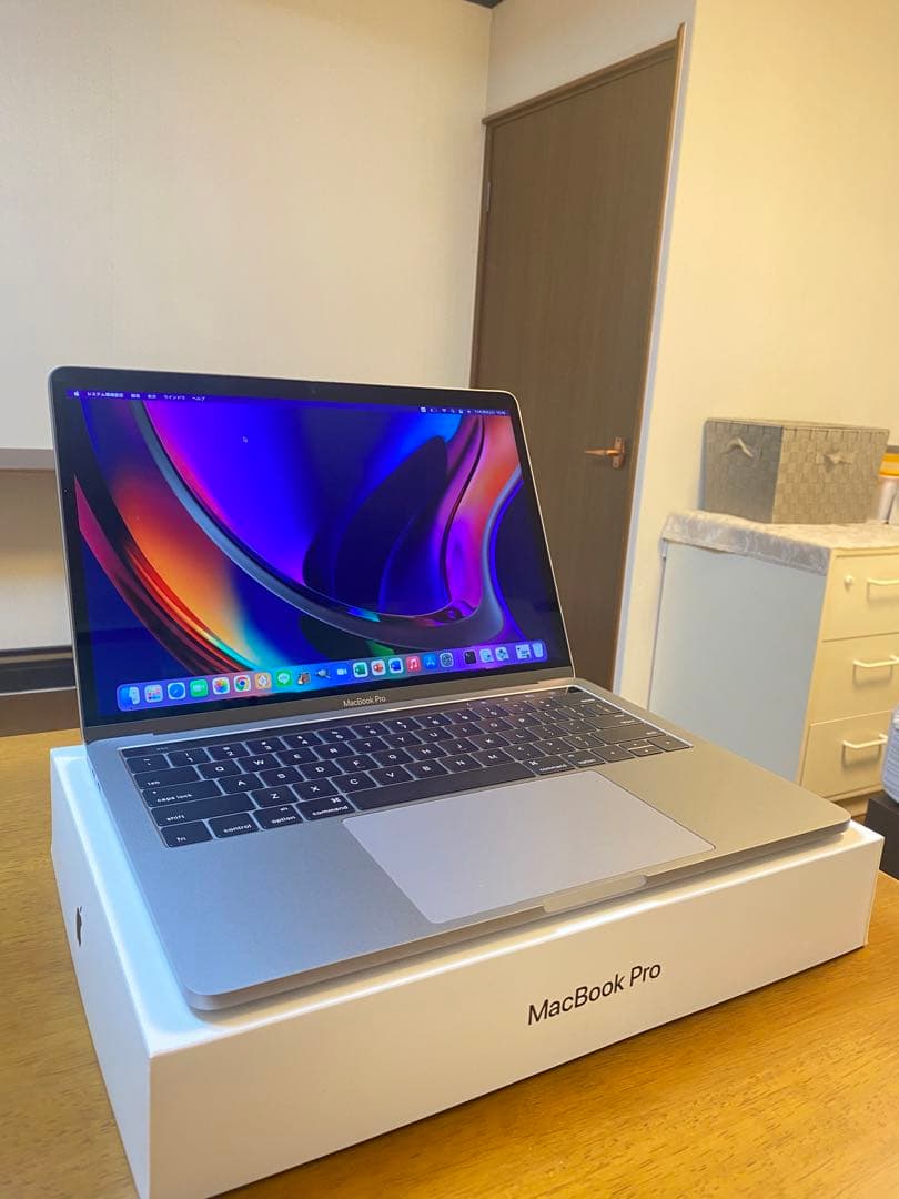 2024年OS 美品 Apple MacBook Pro 32GB/ 512GB