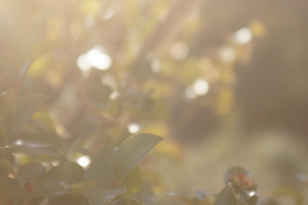 SONY α700 SIGMA 28-70mm レンズセット Aマウント