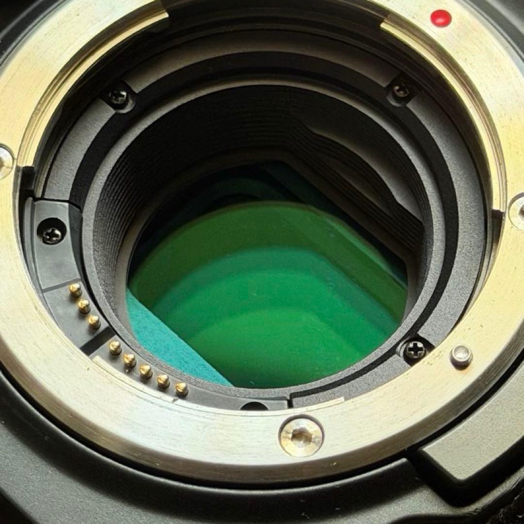 1TB付/BlackmagicPocket CinemaCamera 6KPro