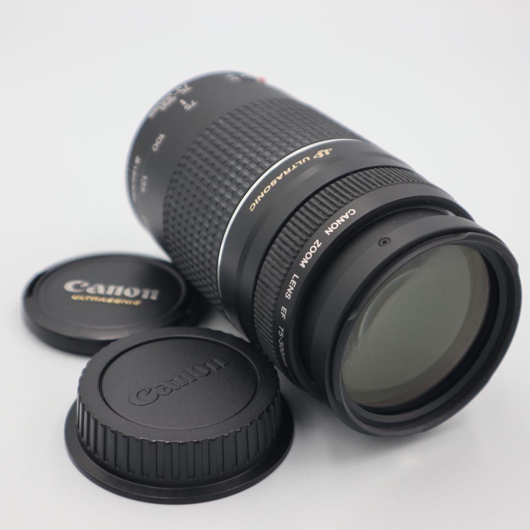 Canon EF 75-300mm F4-5.6 Ⅲ USM レンズ