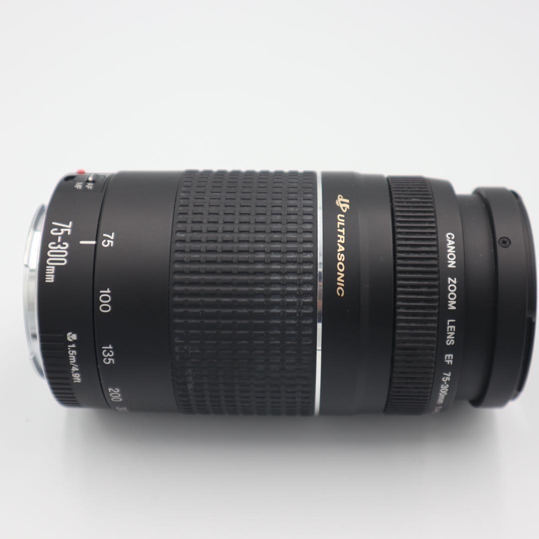 Canon EF 75-300mm F4-5.6 Ⅲ USM レンズ