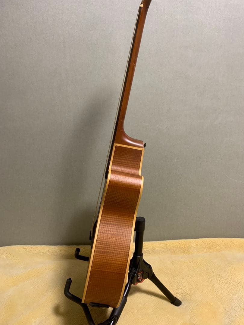 ARIA FET-F1 N エレアコ