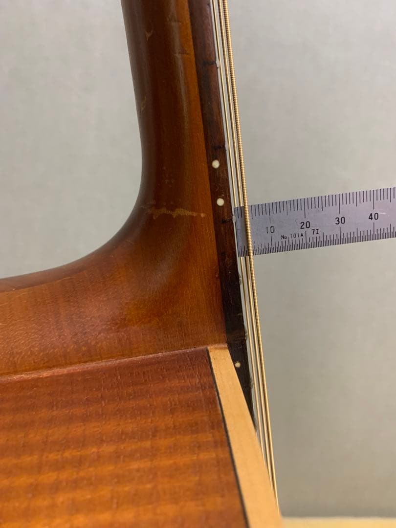 ARIA FET-F1 N エレアコ