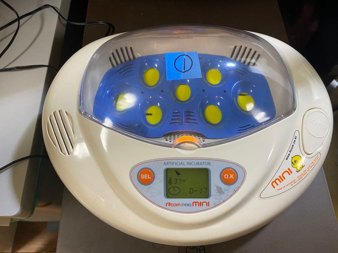 最終値下げ！リトルママ値下しました