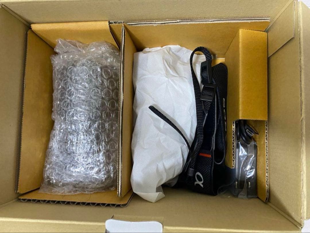 SONY α6000 ダブルズームレンズキット ILCE-6000Y