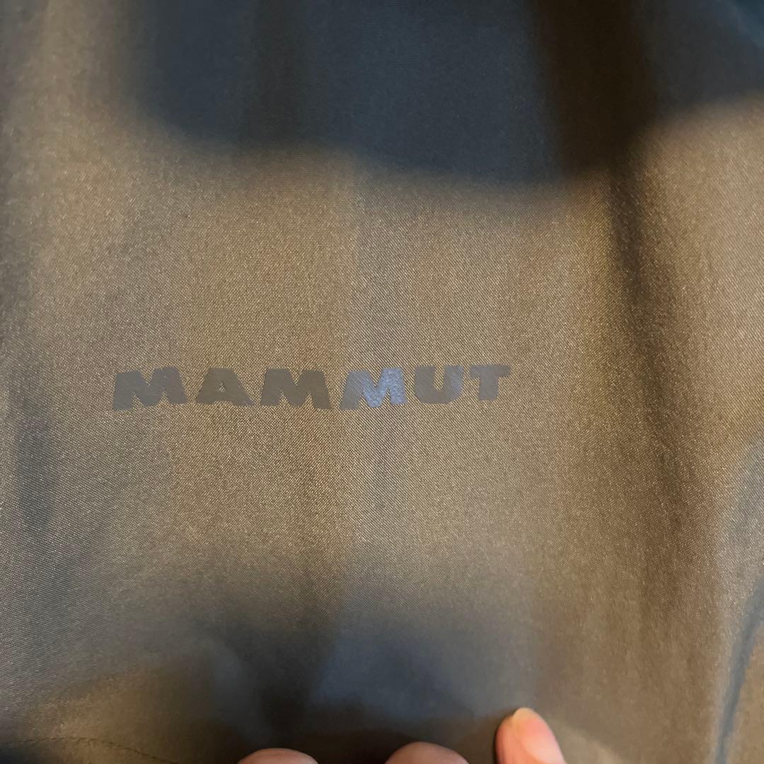 MAMMUT GORE-TEXアヤコプロ フーデットジャケット