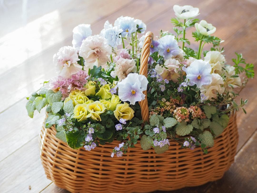 オーバルバスケットのパステルカラー寄せ植え