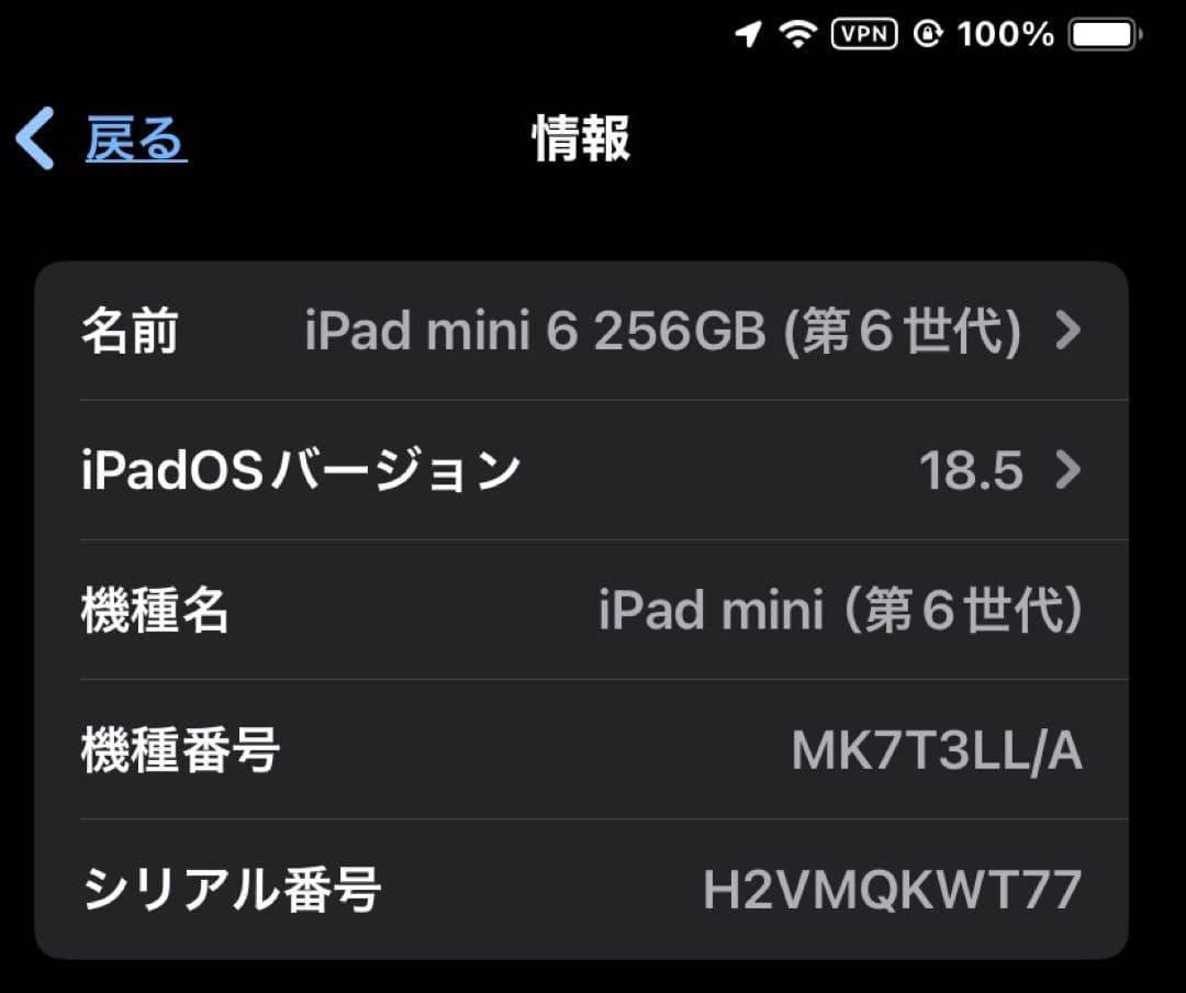 iPad mini 6(第６世代) Wi-Fi 256GB 本体ケース付き