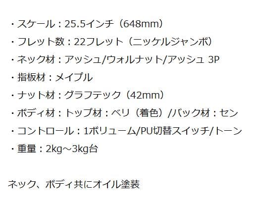 試作 個人製作エレキギター シングルカット