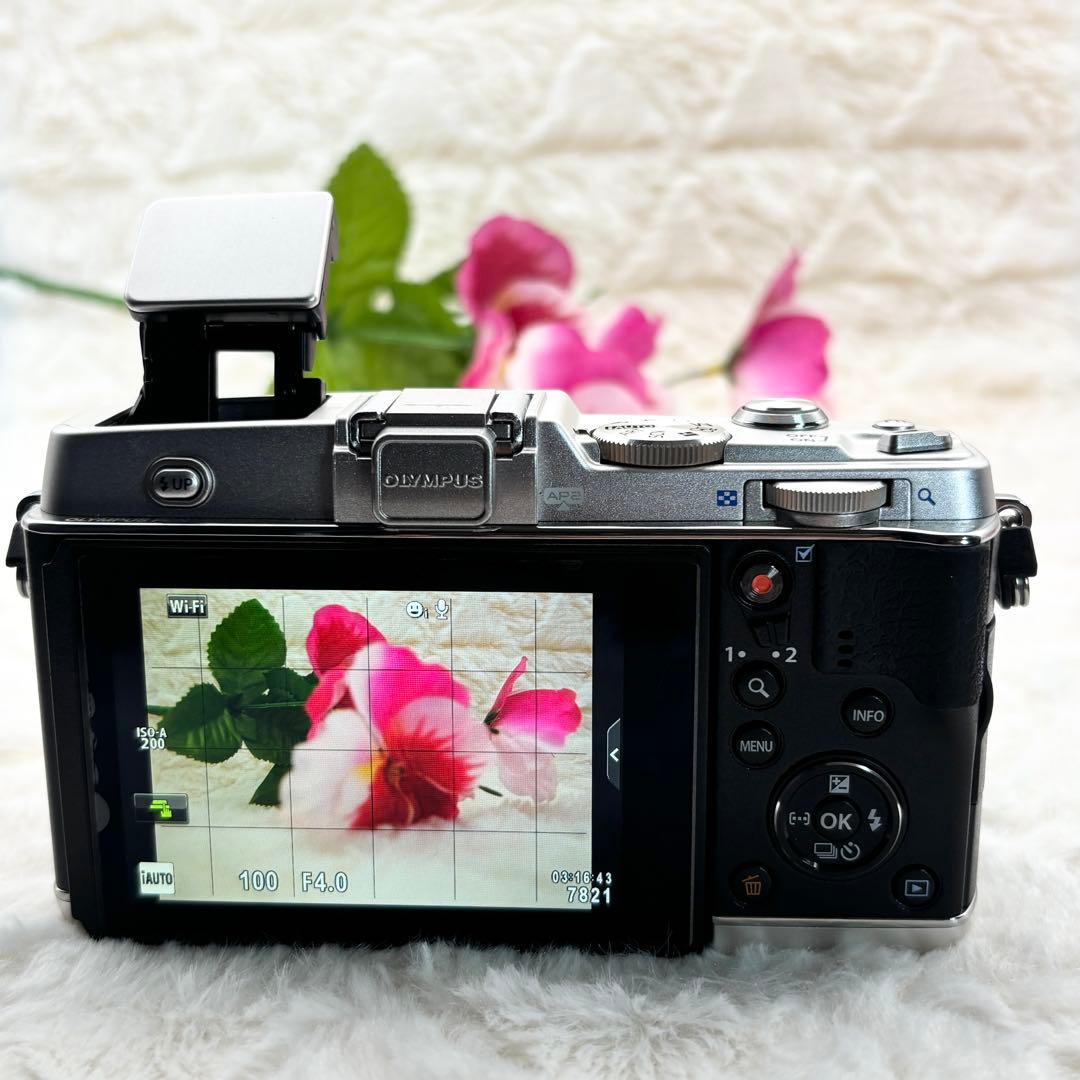 美品 OLYMPUS PEN E-P5 レンズセット