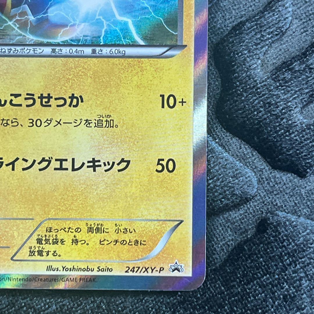 マスクド・ピカチュウ：マスクド・ピカチュウ スペシャルパック PROMO XY…