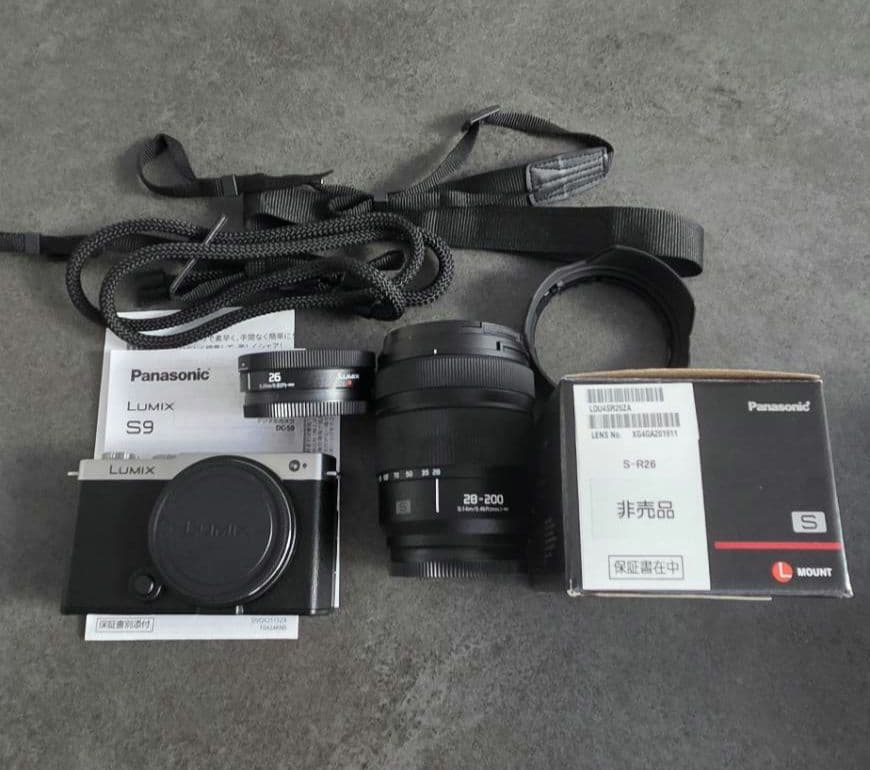 Panasonic LUMIX ミラーレス一眼カメラ