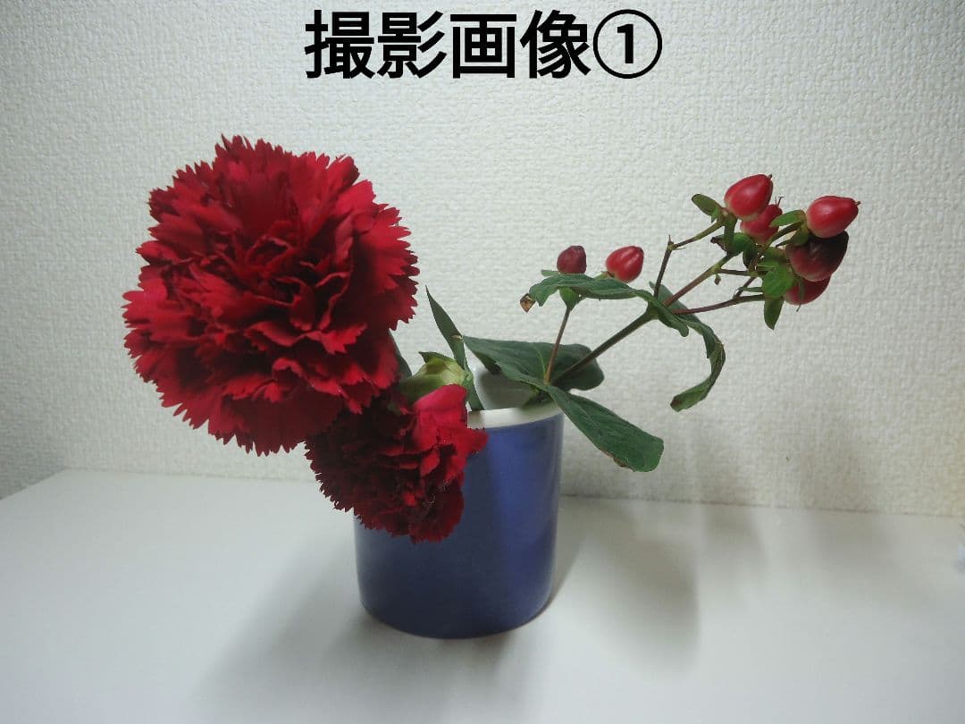 SONY デジタルカメラ Cyber-shot DSC-W610 シルバー