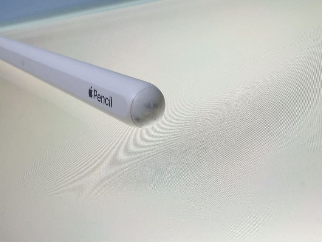 か*ぺ様 iPad Pro 12.9 第4世代 256GB Apple Penc