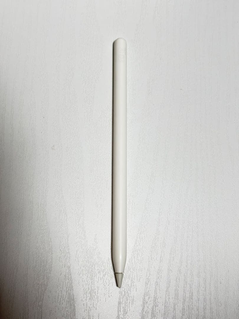 iPad Pro 第1世代 256GB Apple Pencil 第2世代　替芯