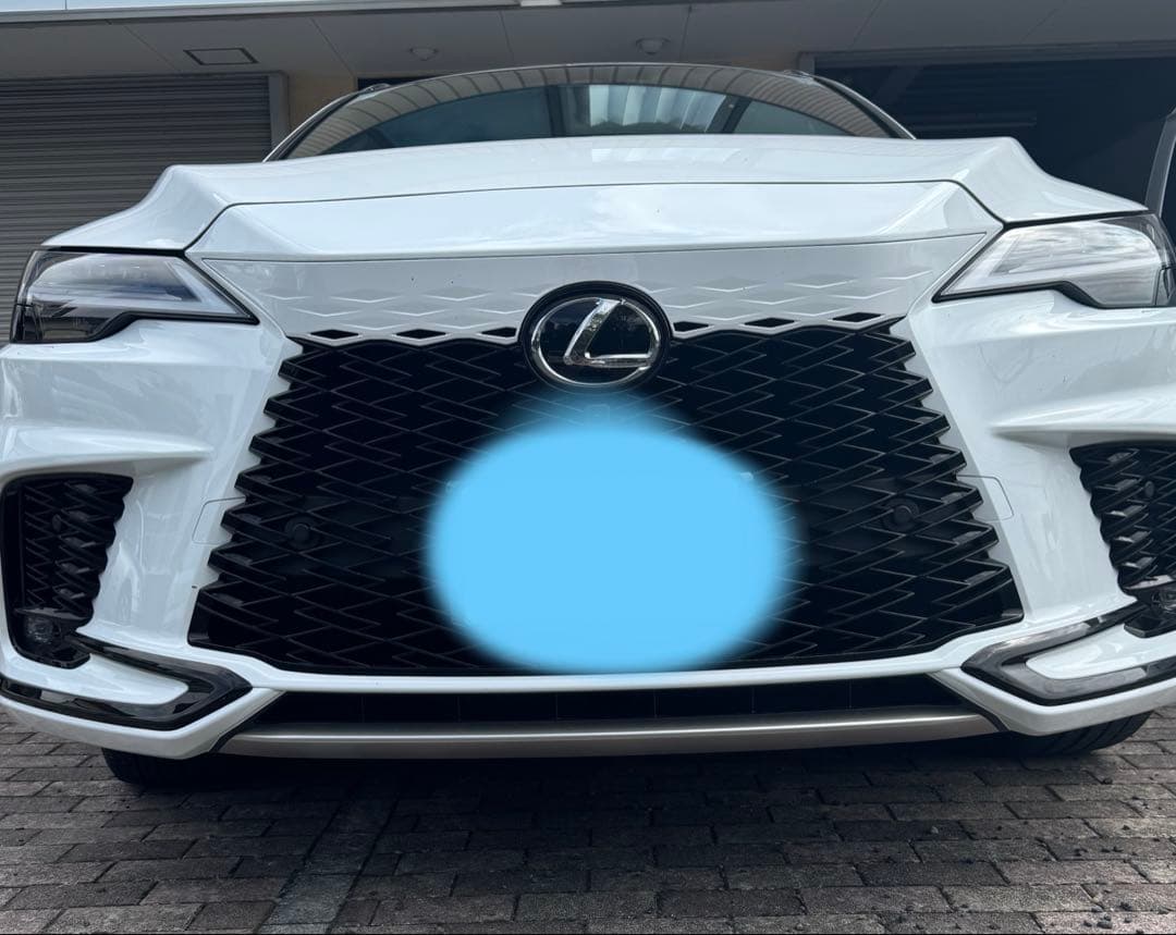 RX ラジエーターガーニッシュ 53141-48160-C0