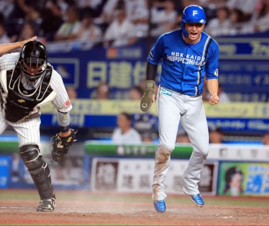 日本ハムファイターズ 淺間大基 #8　バット NPBマーク 支給品　実使用