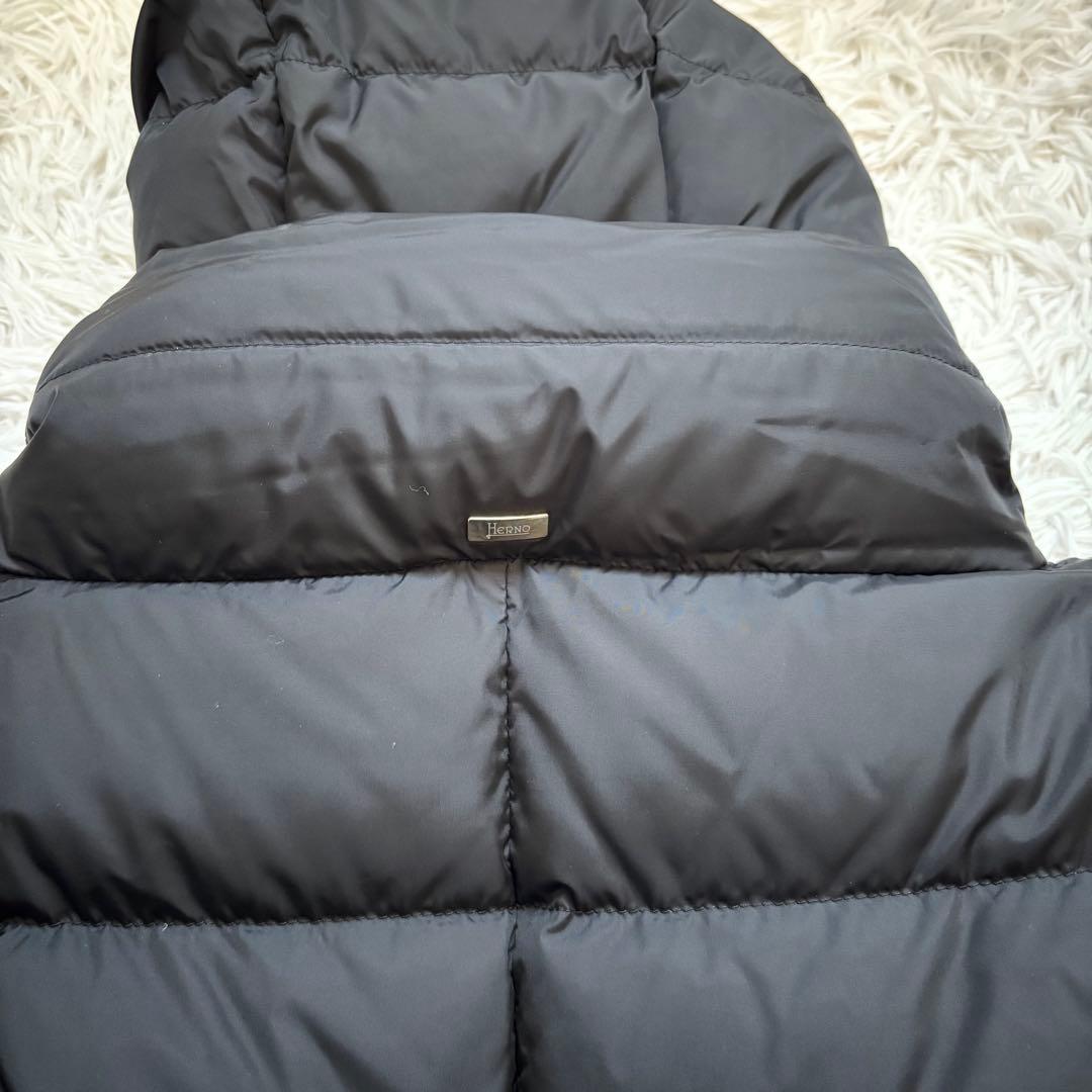 【美品】ヘルノ HERNO ダウンコート ダウンジャケット ナイロンシャモニー