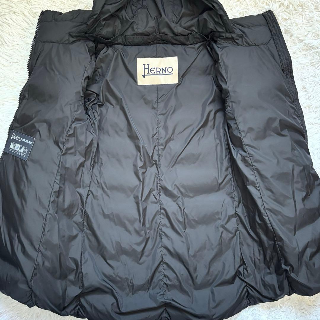 【美品】ヘルノ HERNO ダウンコート ダウンジャケット ナイロンシャモニー