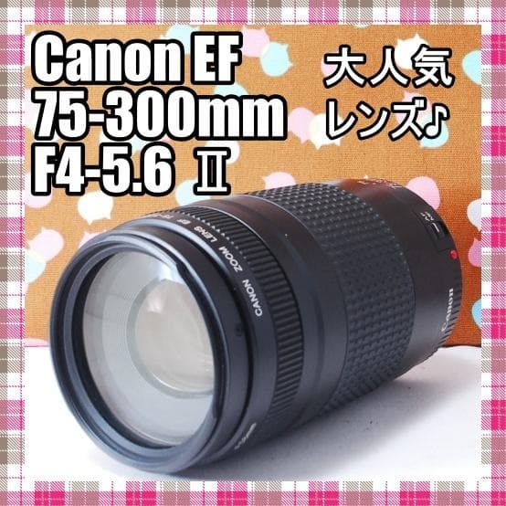 ✨人気の望遠レンズ✨Canon EF 75-300mm F4-5.6 Ⅱ