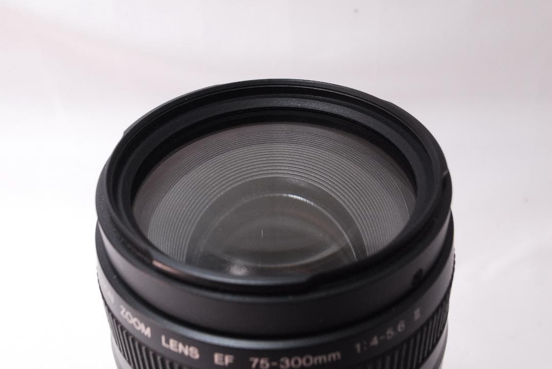 ✨人気の望遠レンズ✨Canon EF 75-300mm F4-5.6 Ⅱ
