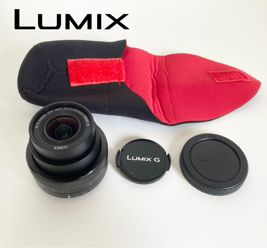 パナソニック LUMIX G DC-GF10 12-32mm 標準 ズームレンズ