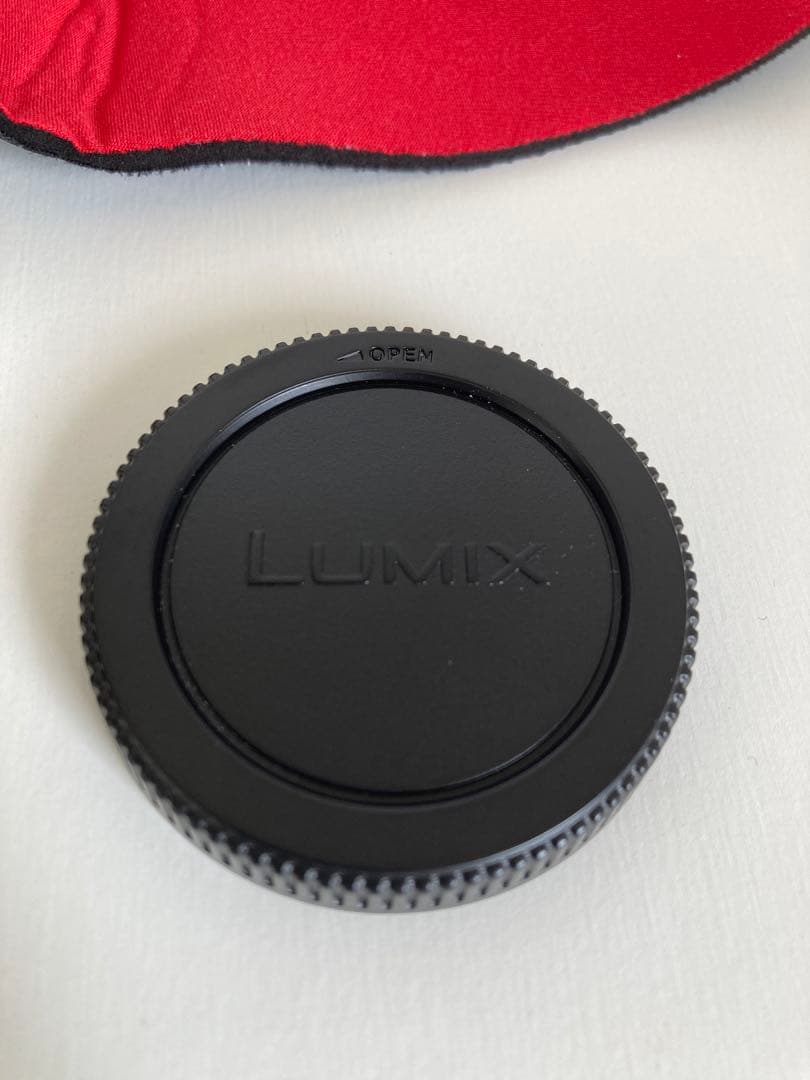 パナソニック LUMIX G DC-GF10 12-32mm 標準 ズームレンズ