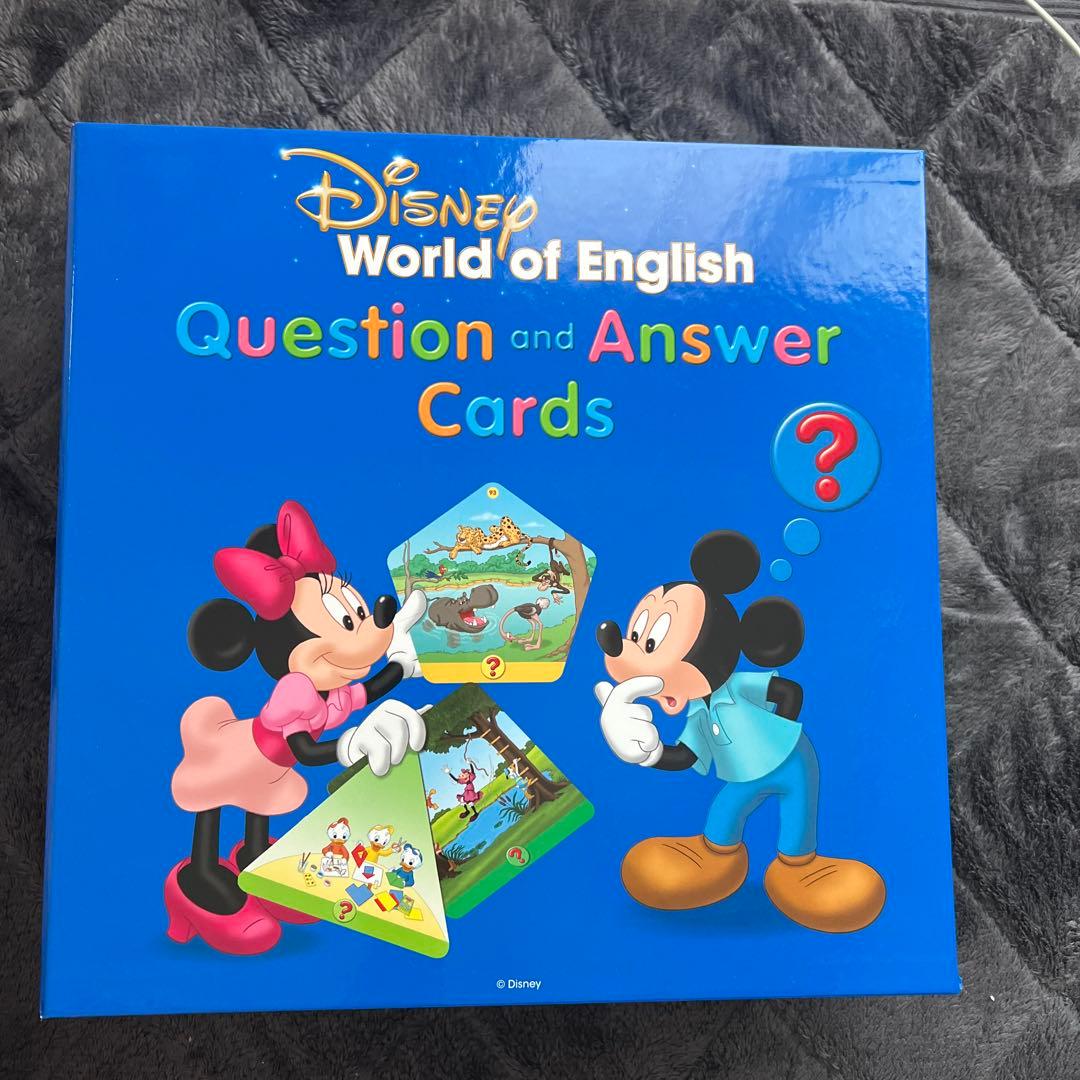 知育玩具 DWE Question and Answer Cards
