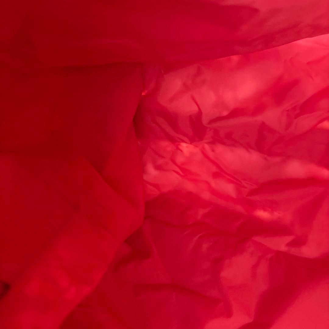 LeSportsac. バンビ柄　ボストンバッグ 約縦37x横50xマチ23