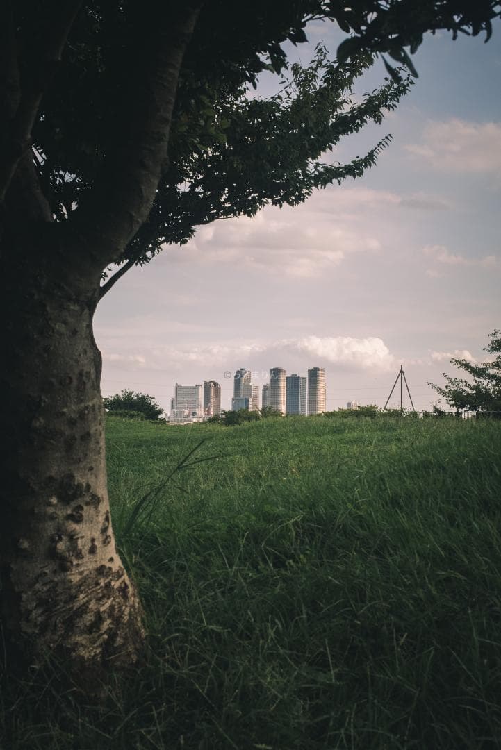 ライカの神マクロ！Leica Elmar 65mm F3.5 Visoflex