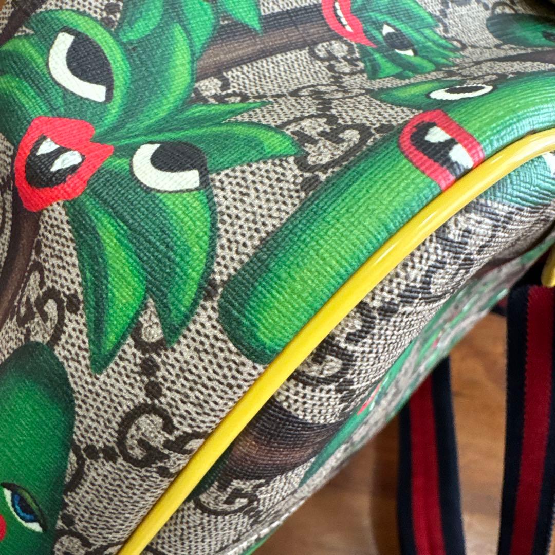 難あり　GUCCI kids サボテンバッグ