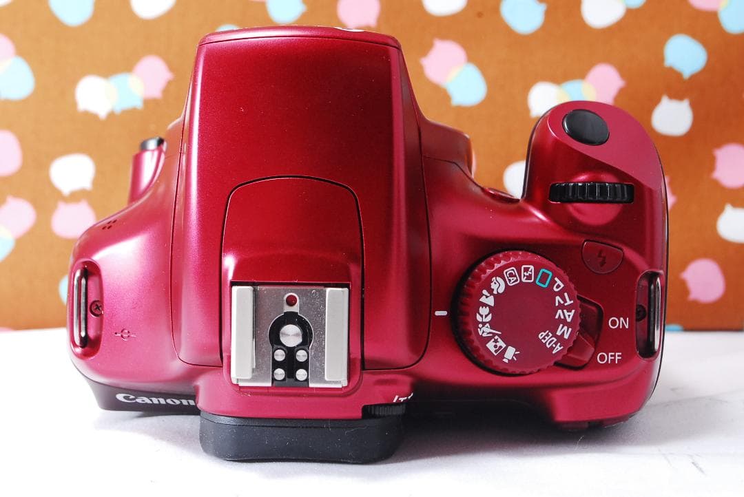 ✨新品同様✨元箱あり豪華セット✨Canon Kiss X50 レンズセット