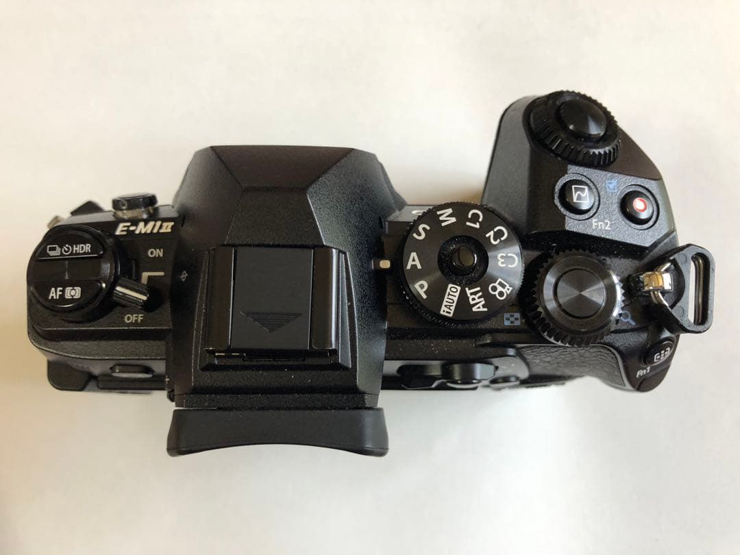 【完動美品】OLYMPUS OM-D E-M1 Mark II ボディ