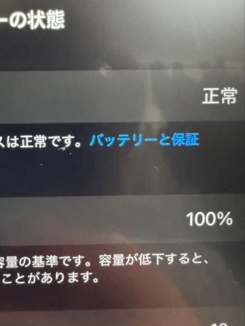 iPad 第11世代 A16 Wi-Fiモデル 128GB ブルー 本体