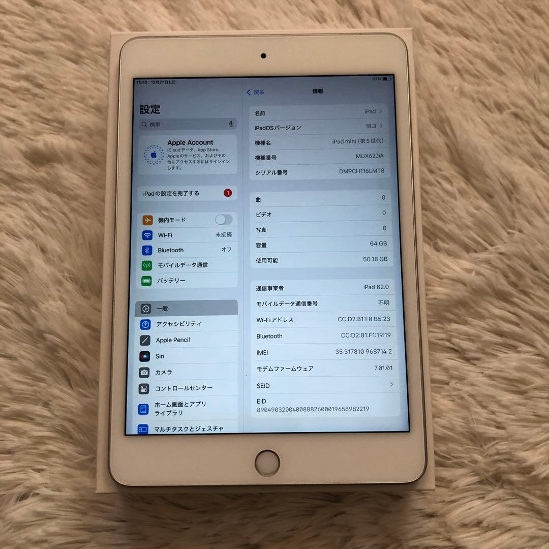 【1/2販売終了】iPad mini5 64GB SIMフリー 【すぐ発送】