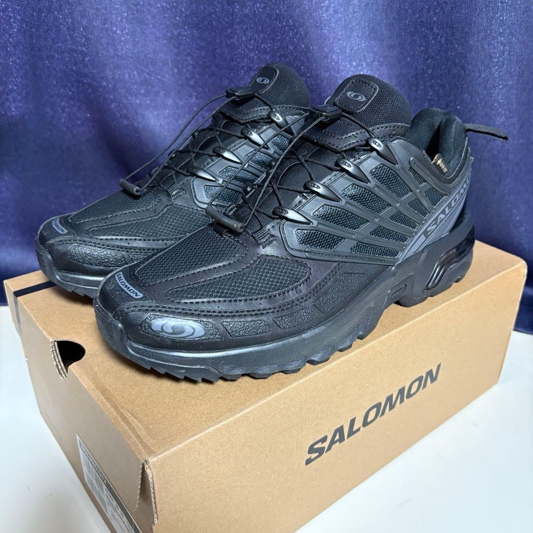 SALOMON サロモン ACS PRO GTX 28cm ゴアテックス