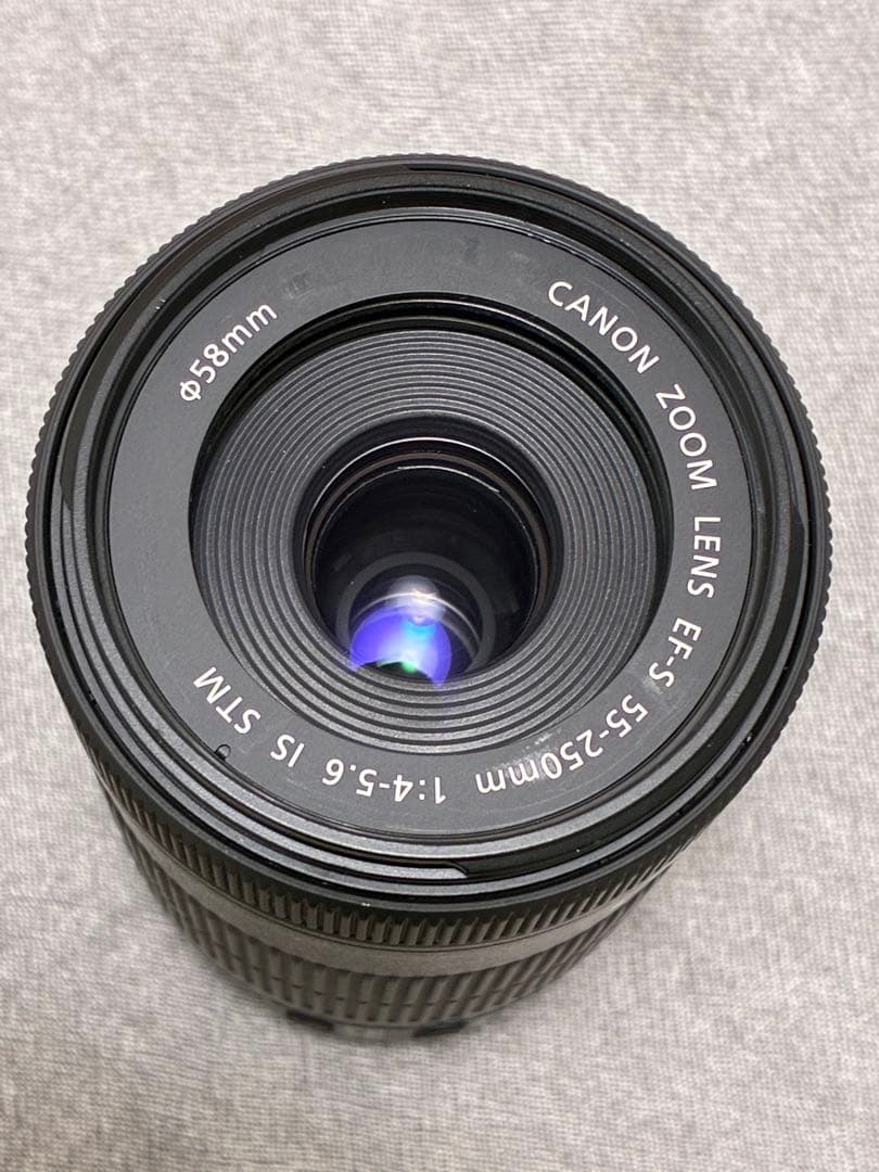 ⭐️美品⭐️Canon EF-S55-250mm IS STM 望遠レンズ