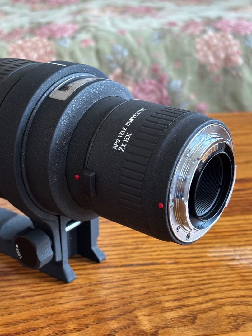 SIGMAシグマ 望遠ズームレンズ APO 50-500mm F4-6.3 EX