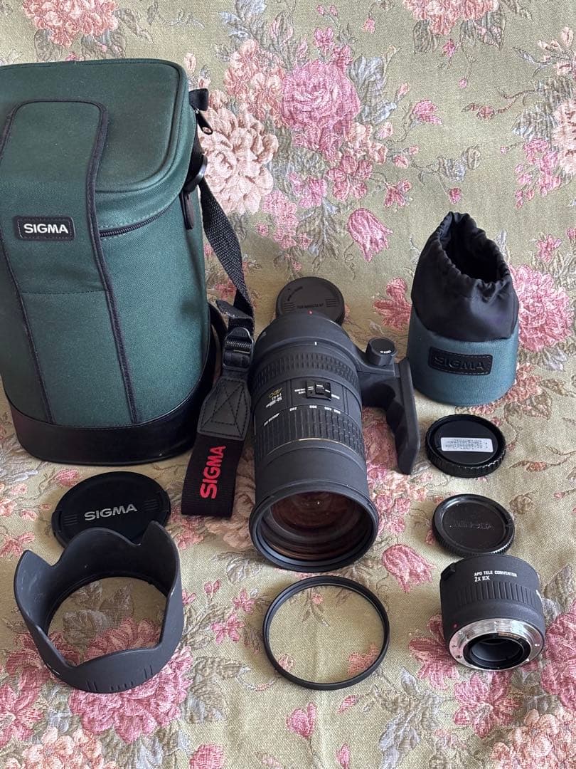 SIGMAシグマ 望遠ズームレンズ APO 50-500mm F4-6.3 EX