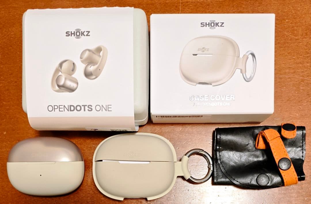 【ほぼ未使用】Shokz OpenDots ONE 純正ケースカバー・ポーチ付き