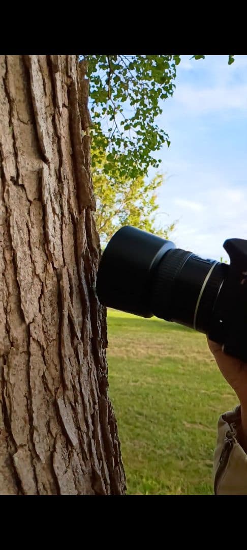 【レア】SMC PENTAX-D FA 50mm F2.8 フルサイズ マクロ