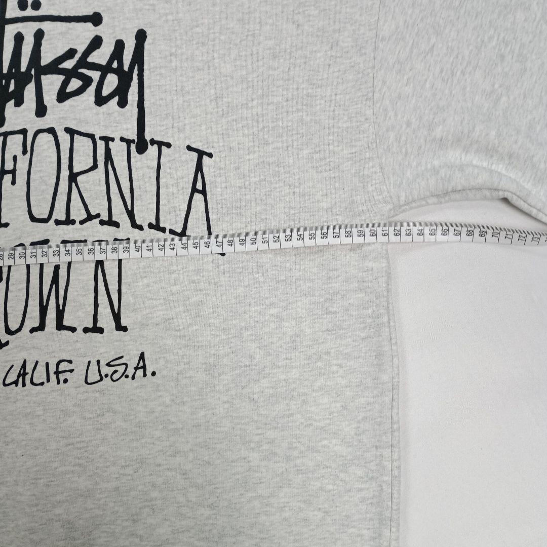 stussy Cali Grown zip Hood サイズ L グレー