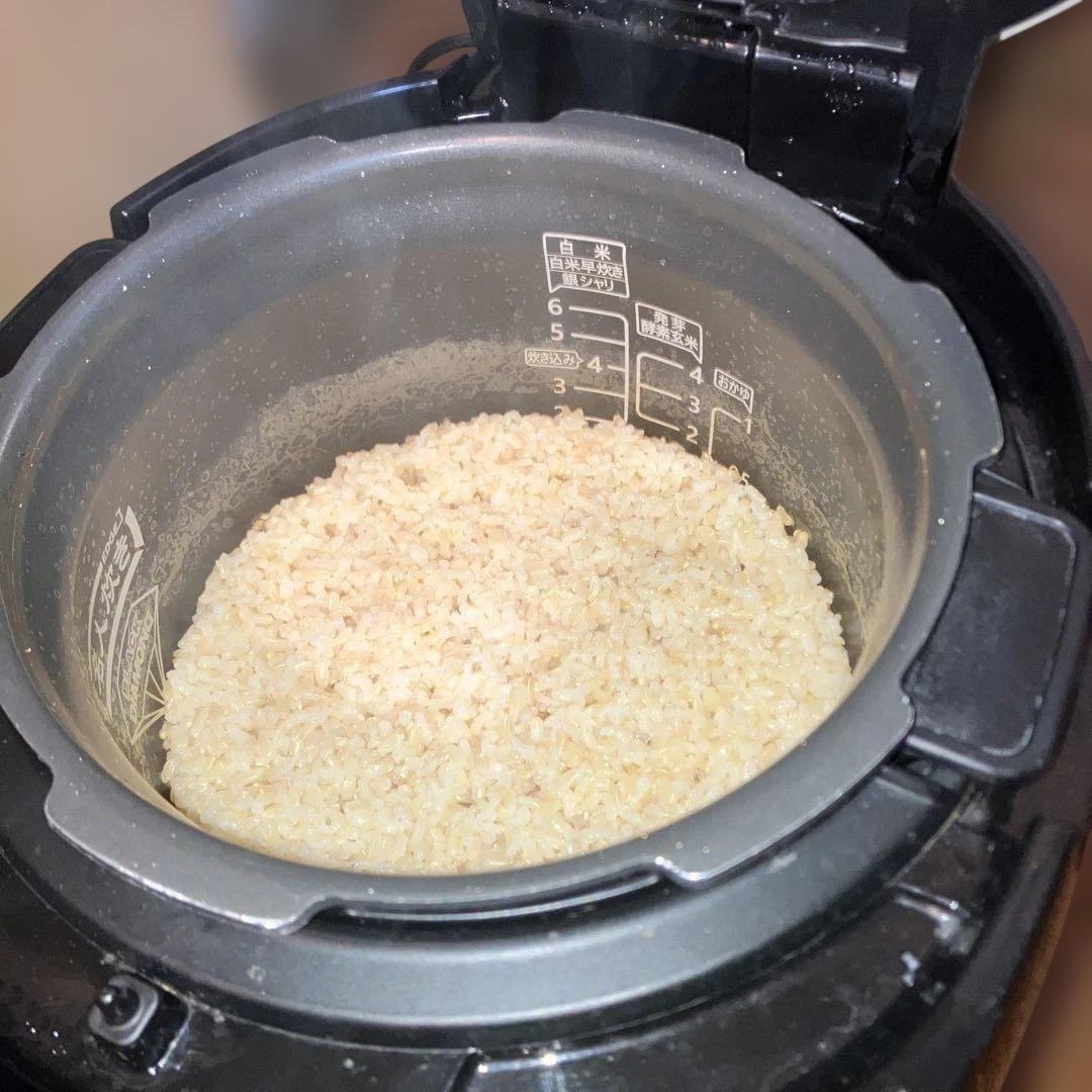 CHEN PremiumNew圧力名人　FD064シリーズ酵素玄米炊飯器　中古