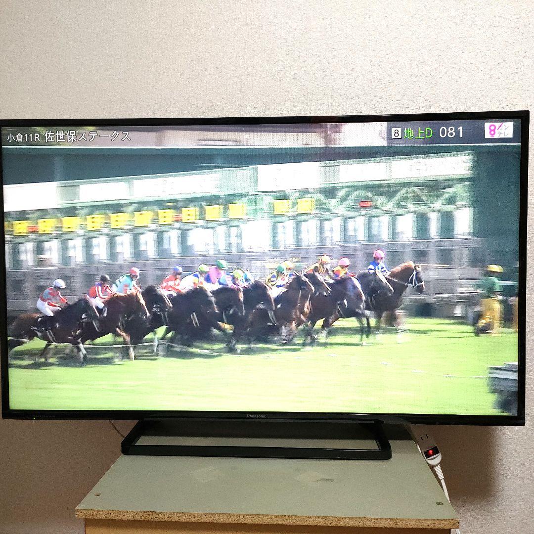 Panasonic[2017年製品]TH-49D305