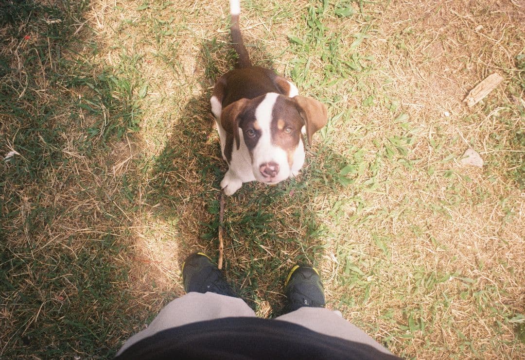 フィルムカメラ FUJIFILM KLASSE W Black